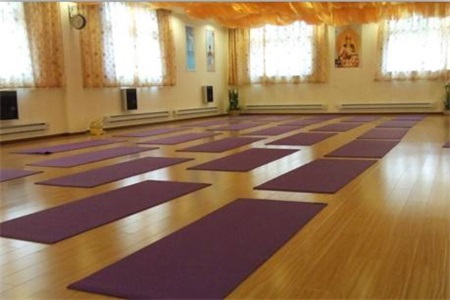 瑜伽初入门教学视频