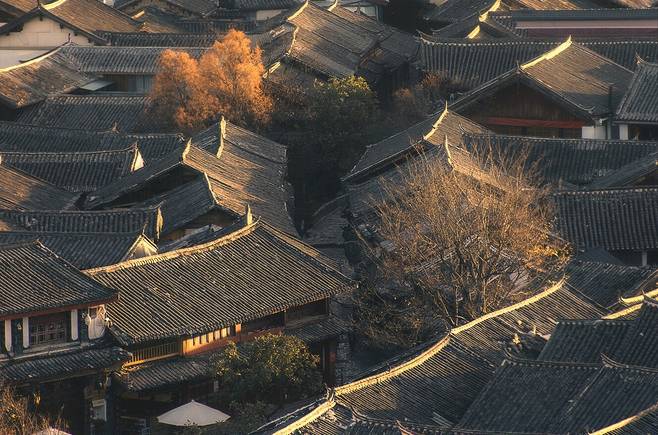 爱吃回头草的星座 这些星座男忘不了前任