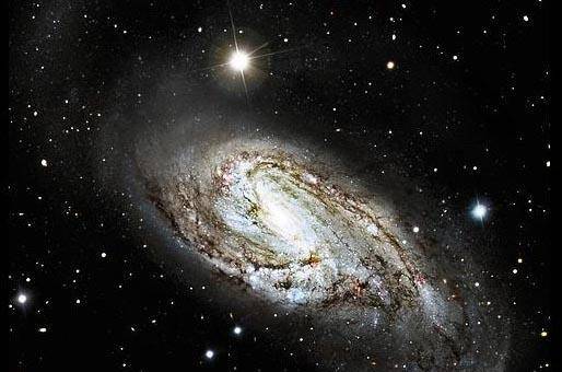 对感情最专一的星座 哪些人值得你去深爱