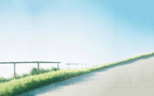 对爱情死心塌地的星座男排名