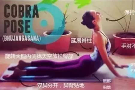 瑜伽眼镜蛇式的几个练习误区，帮你避免身体损伤：上篇1.jpg