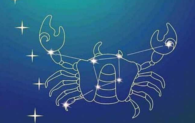 你喜欢这样的巨蟹吗？