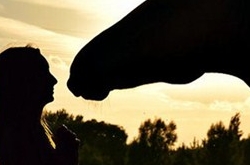 7个瑜伽姿势最减肚腩