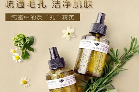 迷迭香纯露真的能去闭口吗 迷迭香纯露的作用和功效介绍