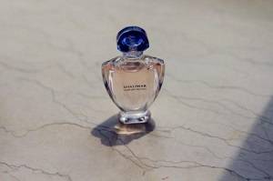 约会中的那抹随风轻盈的飘香(法国香水品牌)