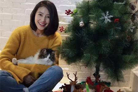 毛衣穿搭打造时尚气质，女生冬日不能缺的靓丽色彩