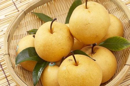 感冒咳嗽吃什么好的快