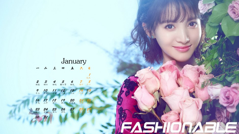 2017年知性美女金晨日历图片素材