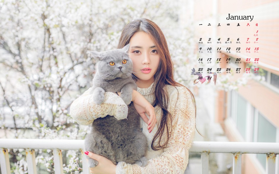 2017年1月气质文艺美女日历图片