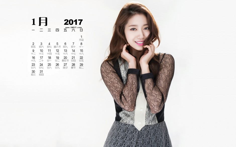 2017年1月韩女星朴信惠日历高清图片