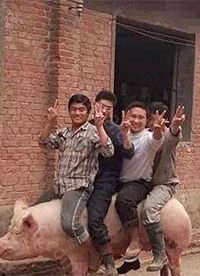 你们想过猪的感受吗？