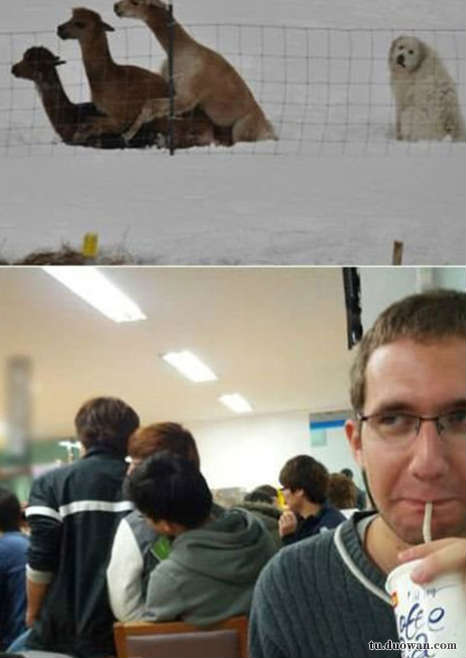 搞笑内涵图之喵星人:我仿佛闻到了小鱼干的味道