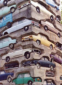 这就是传说中的“守株待兔”？