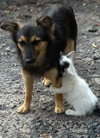 爆笑恶搞图片之不要离开我