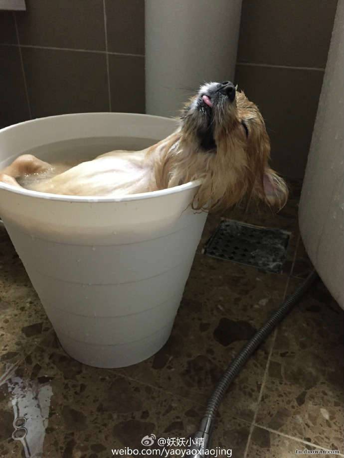 搞笑内涵图之喵星人:我仿佛闻到了小鱼干的味道