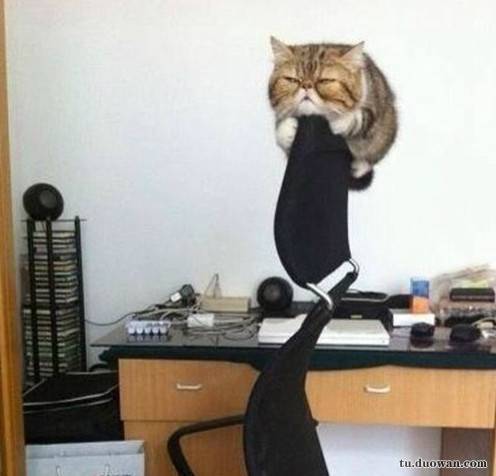 搞笑内涵图片之论男生如何在泳池制造飘逸效果