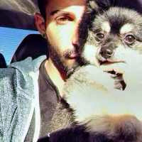 QQ个性阳光型男头像 爱动物的暖男