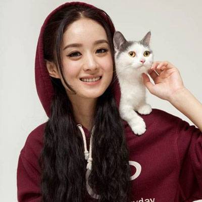 佘诗曼成立工作室 称想100%做自己喜欢做的事