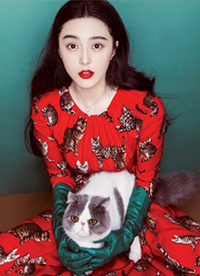 范冰冰杂志封面图片 抱猫卖萌俏皮可爱