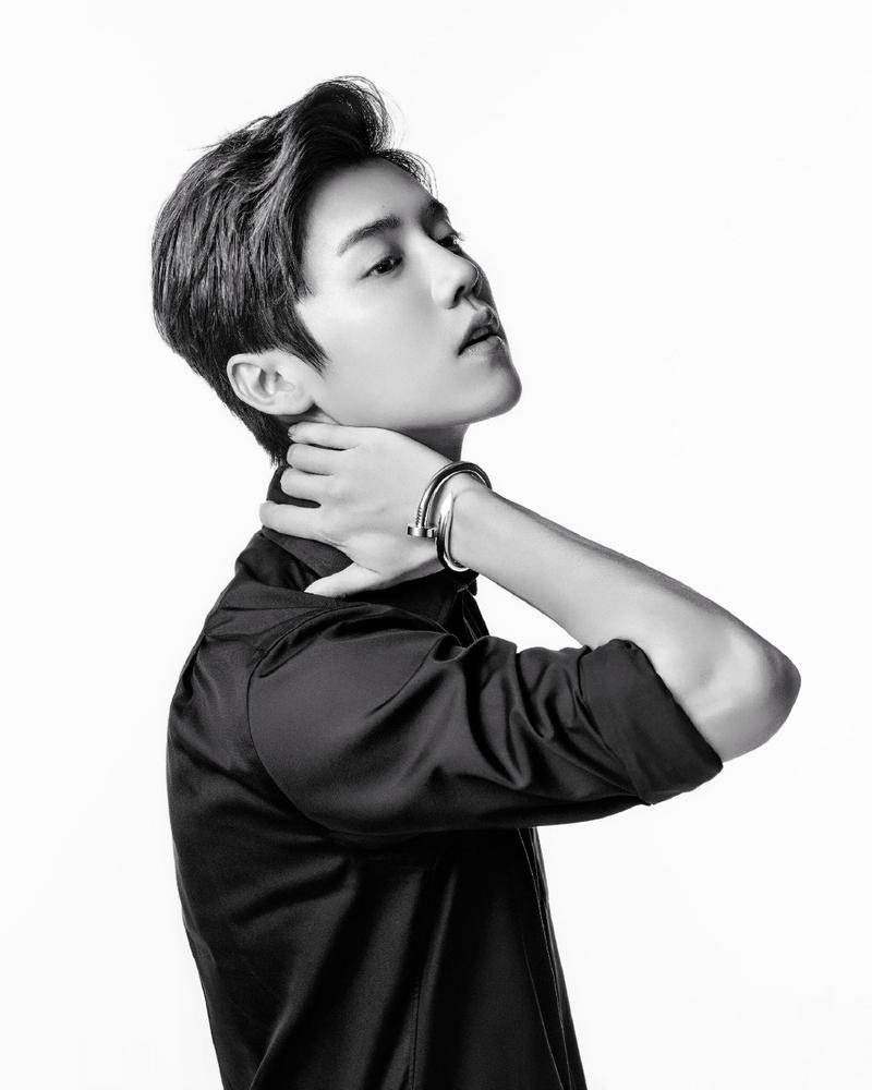 鹿晗黑白写真时尚范十足 又被&ldquo;撩&rdquo;了