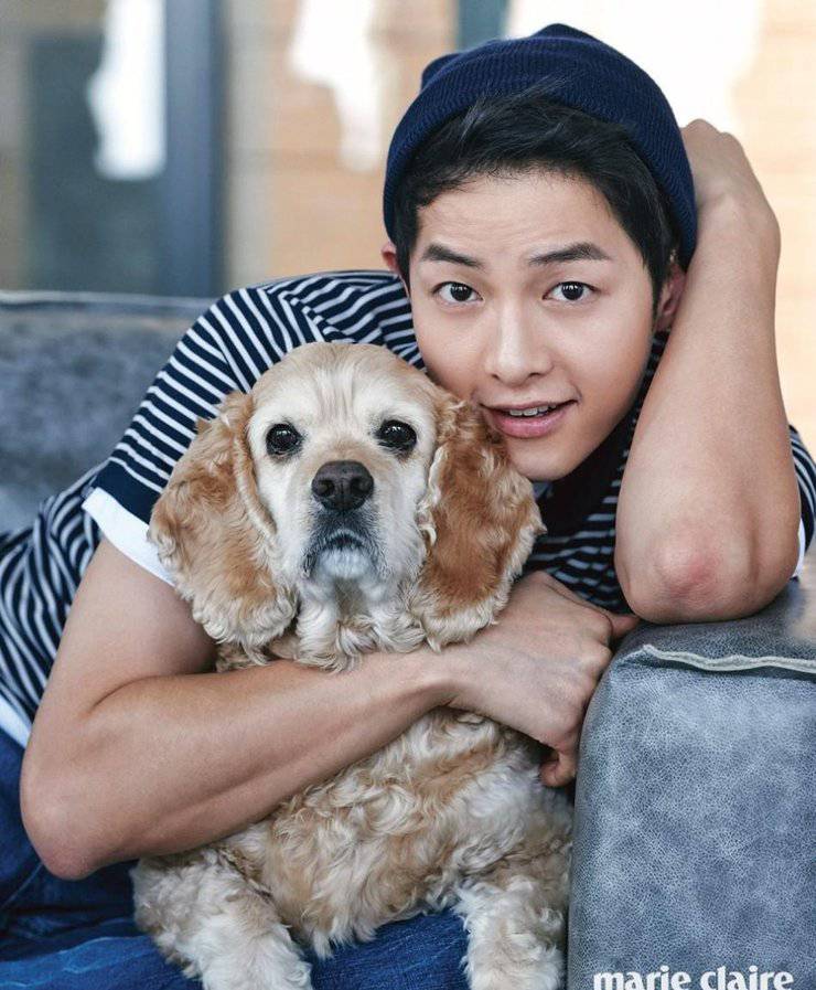 宋仲基最新写真照曝光 化身爱狗帅气宅男