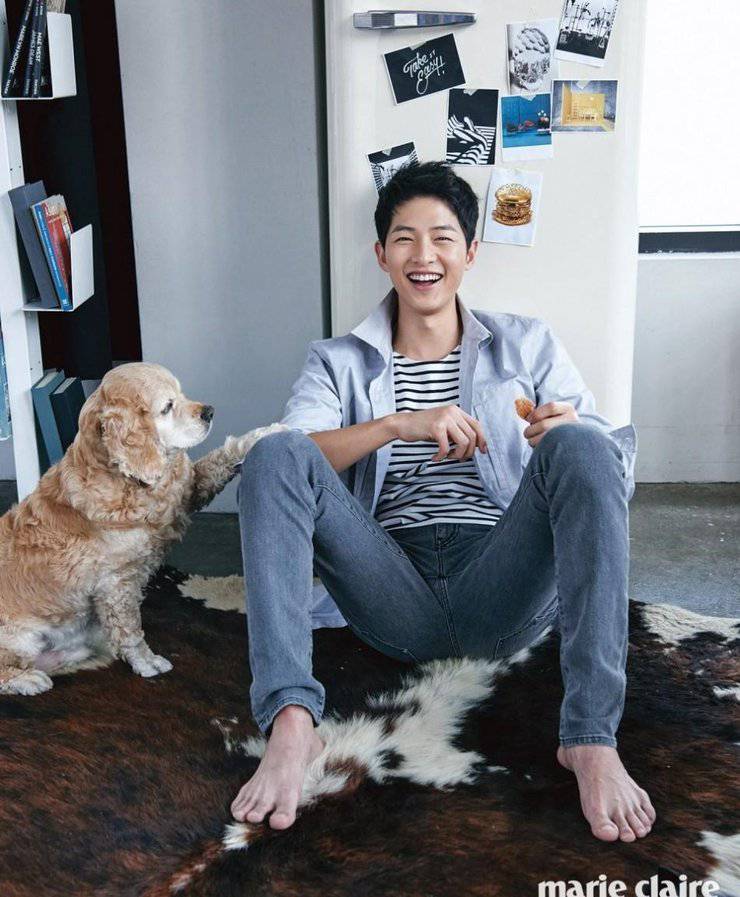 宋仲基最新写真照曝光 化身爱狗帅气宅男