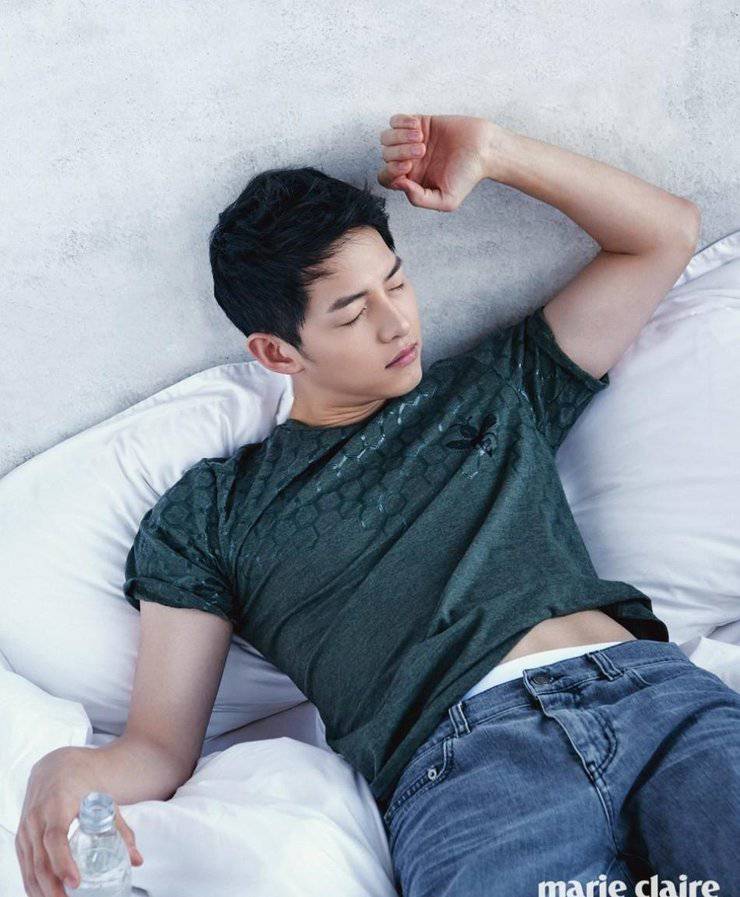 宋仲基最新写真照曝光 化身爱狗帅气宅男