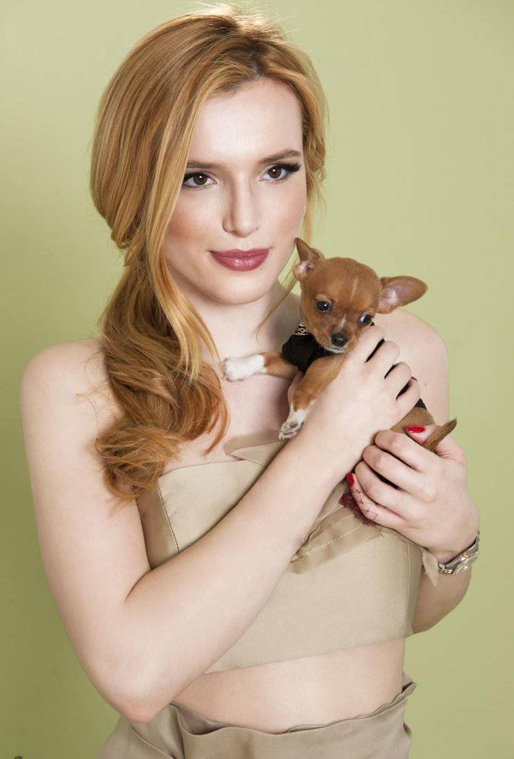 女星贝拉索恩最新海报曝光 尽显现代女性时尚魅力