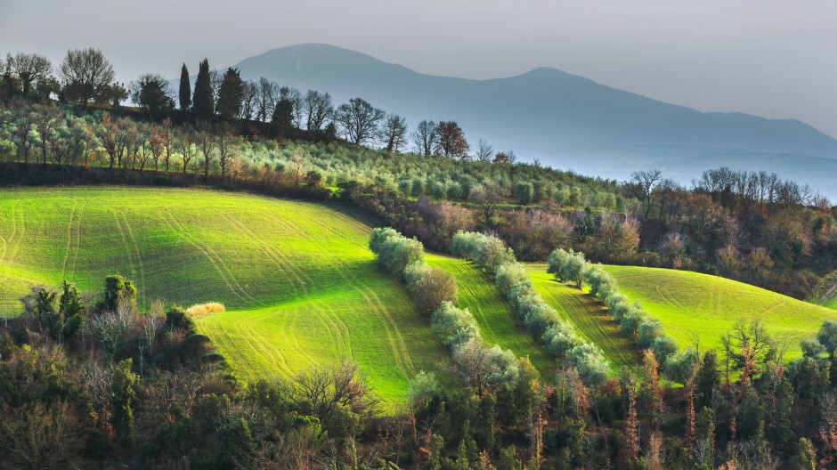 绿色大草原高清图片欣赏