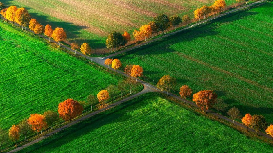 绿色唯美大草原图片大全