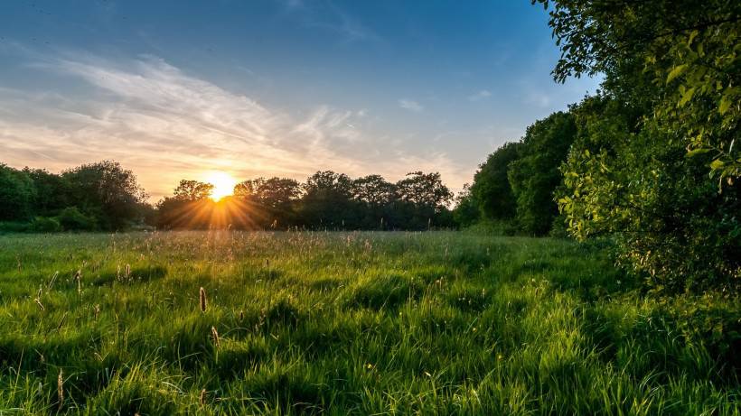 绿色大自然风景桌面壁纸