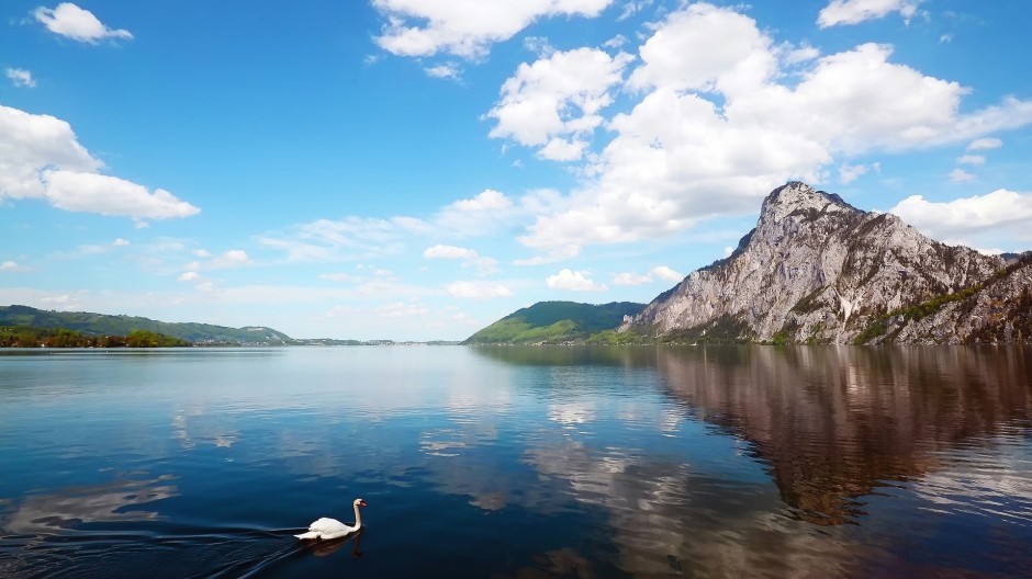 清新大自然背景图片大全欣赏
