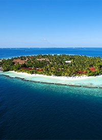 清新大自然背景图片大全欣赏