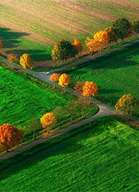 绿色唯美大草原图片大全