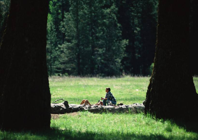 人与绿色大自然图片
