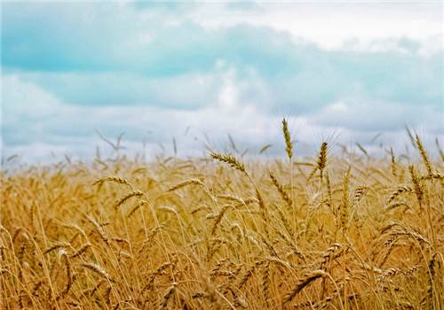 小清新乡村自然风光美景图片