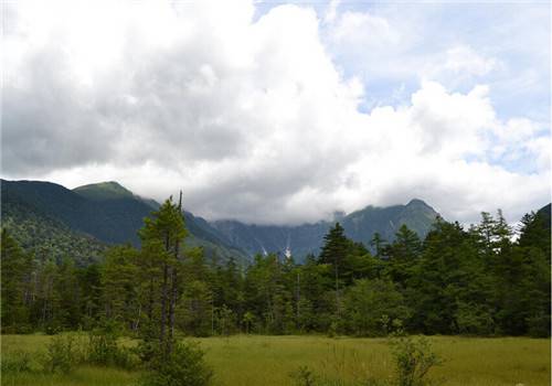 小清新乡村自然风光美景图片