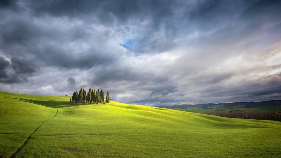 绿色大草原高清图片欣赏