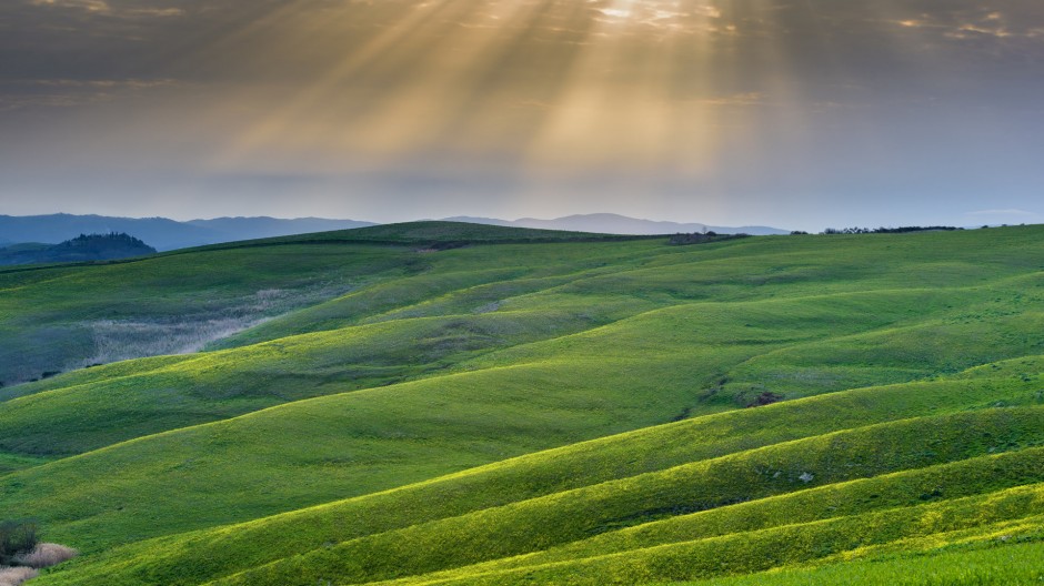 绿色大草原高清图片欣赏