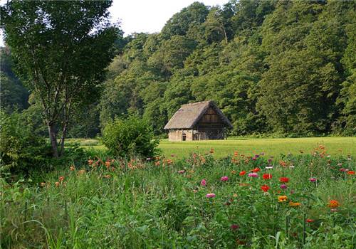小清新乡村自然风光美景图片
