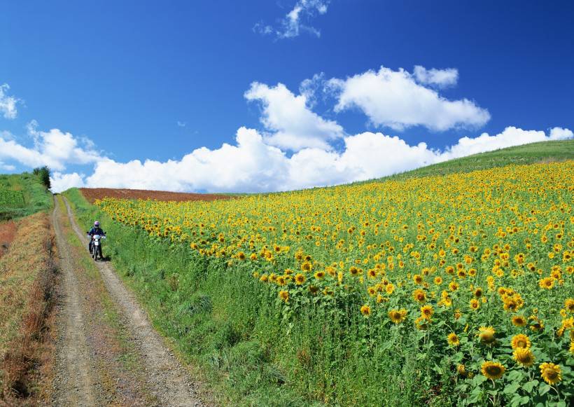 人与绿色大自然图片