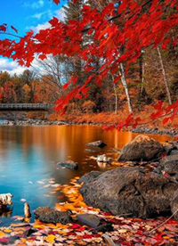 大自然美景桌面壁纸