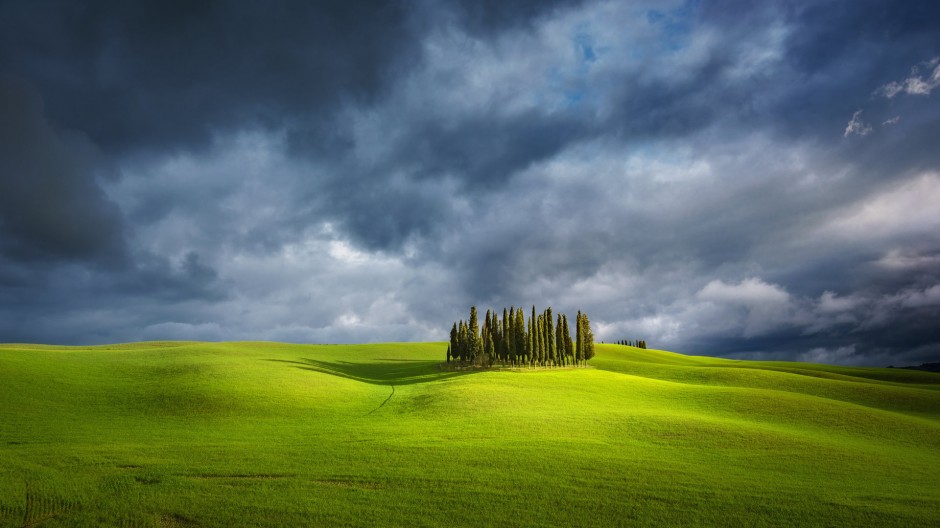 绿色大草原高清图片欣赏
