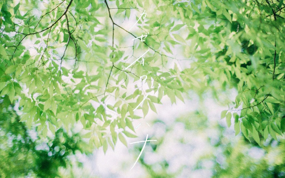 温暖日系唯美风景图片欣赏