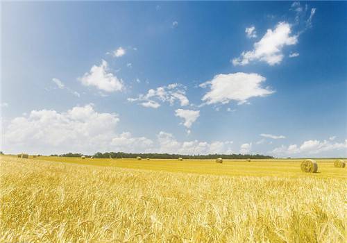小清新乡村自然风光美景图片