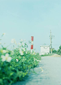 唯美清新小镇街道风景图片欣赏