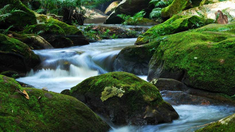 摄影师捕捉的大自然奇观图片