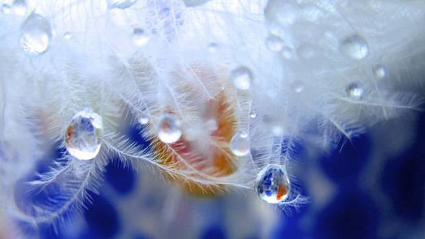 旅游胜地大自然美丽风景图片