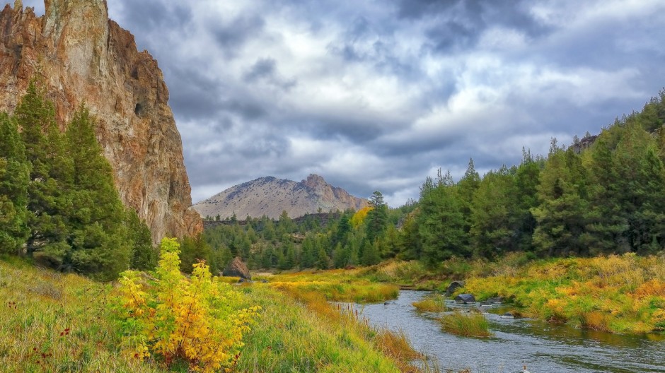 绿色唯美大草原图片大全