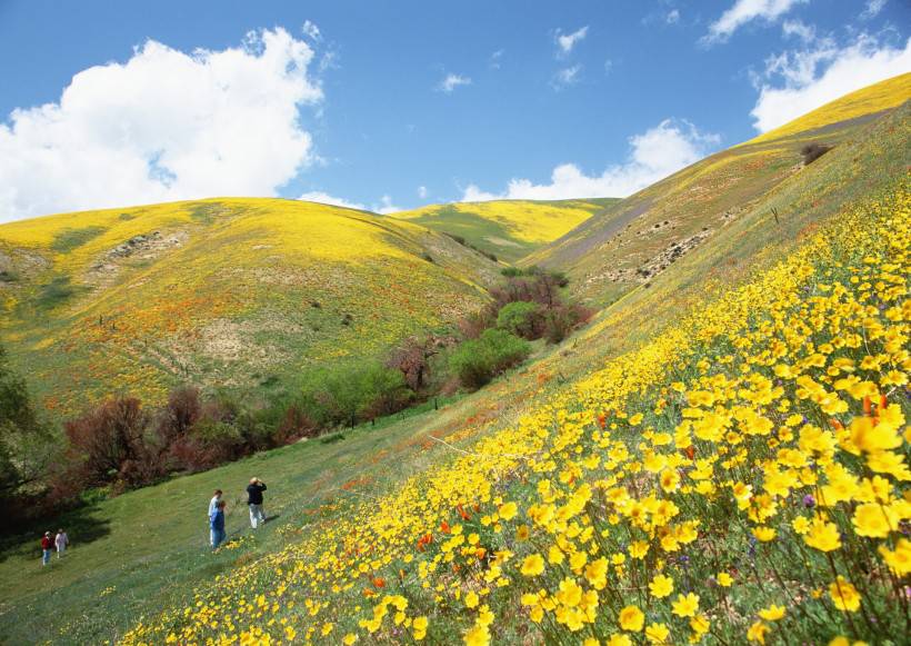 人与绿色大自然图片